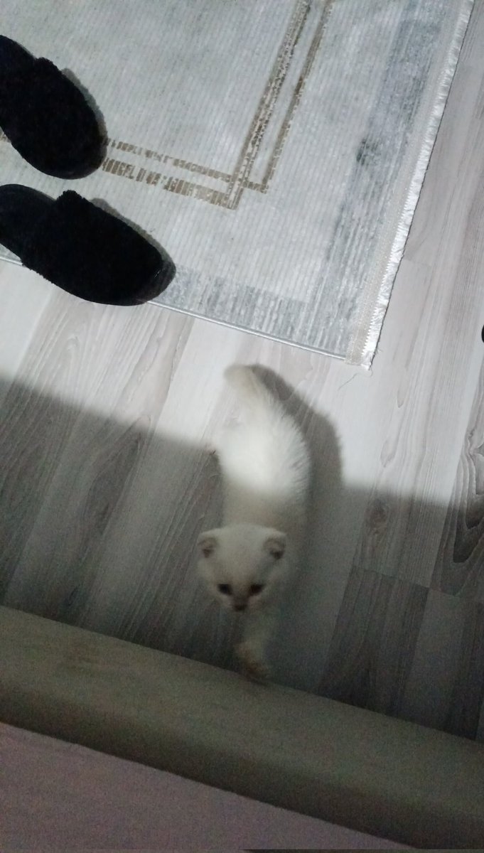 Sabah böyle birşey tarafından uyandırıldım 🥰