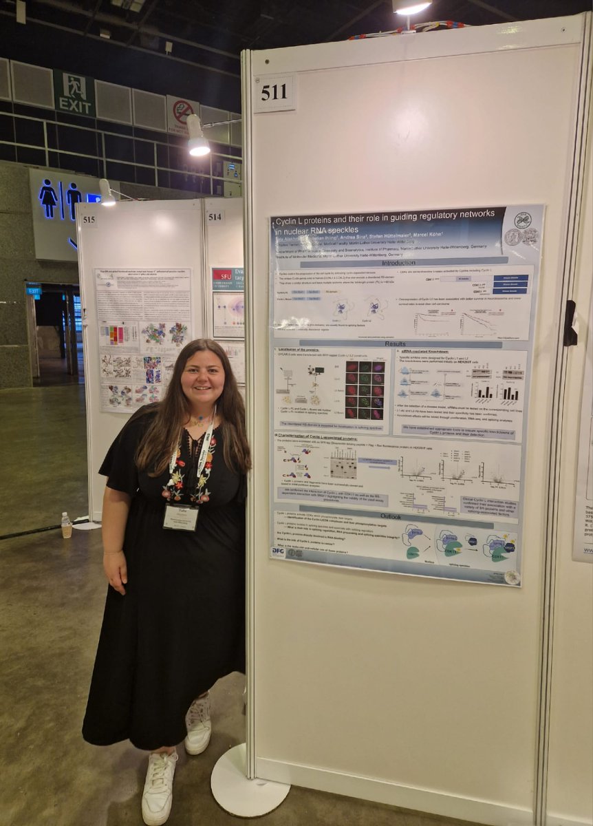 KoehnLab's tweet image. Our newest PhD Student @AlakhrasTala presented her work on Cyclin L complexes in nuclear speckles at the RNA Society Meeting in Singapore. #RNA23 #RNA2023 #RTG2467 @UniHalle @unimedhal