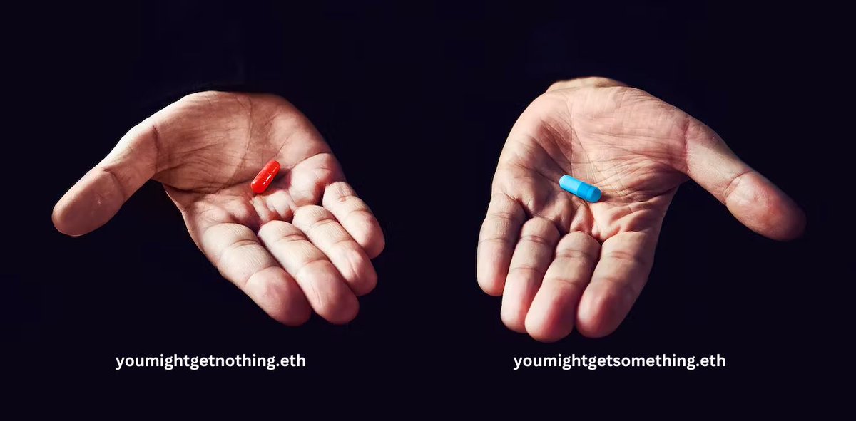 STØNE 🦘 tweet media