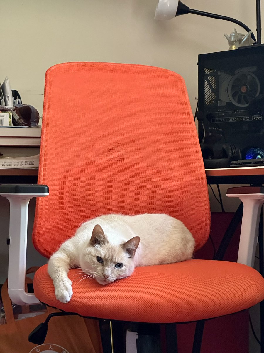 Michael Archambault tweet media