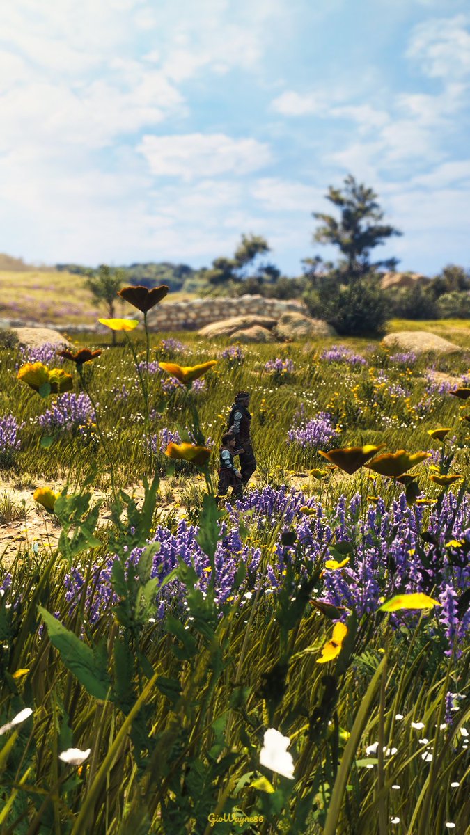 Landscape and nature 💙

#SimpleShotSaturday

Game: #APlagueTaleRequiem
Platform:#XboxSeriesX

↕️↕️
#VirtualPhotography📸

#VGPUnite #WorldofVP #GamerGram #TheCapturedCollective #VPCONTEXT #VPEclipse