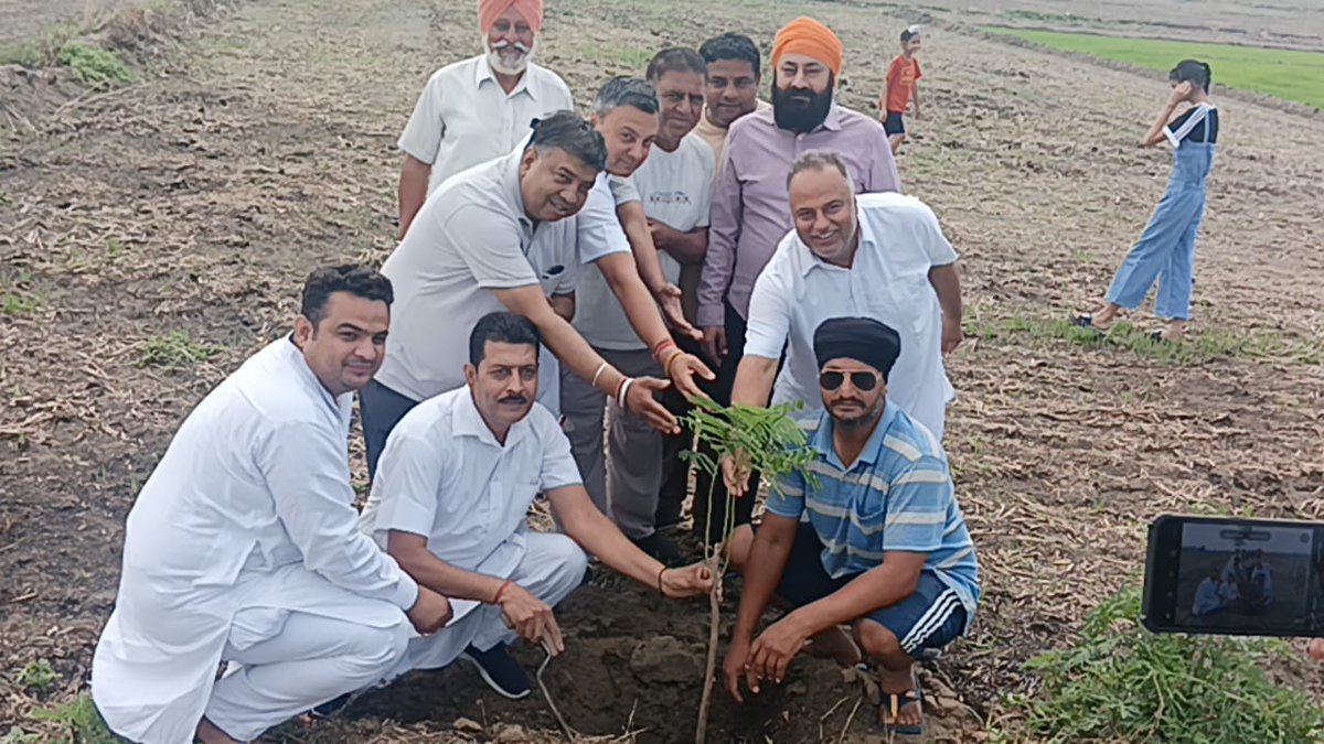 SHIPS organised Tree Plantation Drive to protect Mother Earth in the picturesque village of Atta, Punjab. 
#SDGs #SDG4QualityEducation #sdg13climateaction #TreePlantationDrive #shipsians