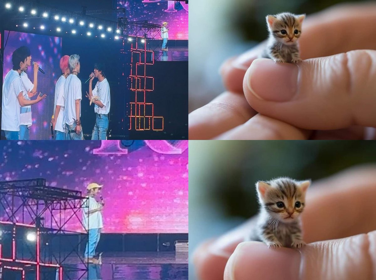 Convinced that Renjun really is microscopic especially around dreamies 🤏🏻🥹🐾🐱