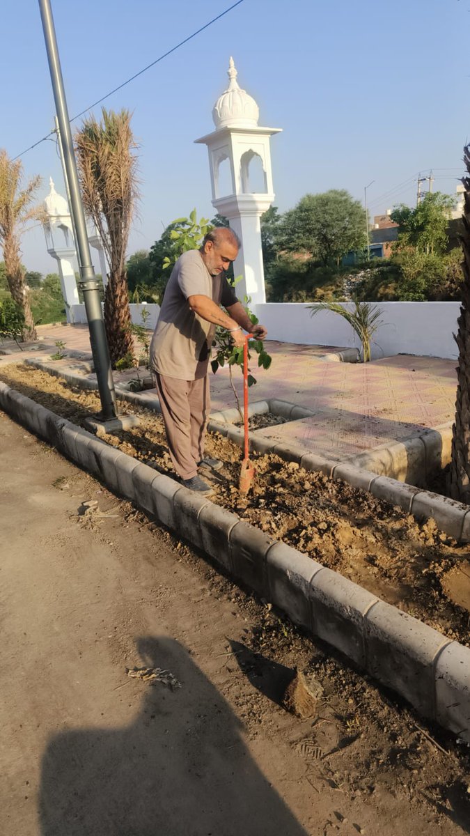 Today plant 200 new #Plants  #WorldEnvironmentDay  #ChooseLife #MissionLife #SaveWater #SaveSoil #environment #BuildBackBiodiversity #SayNoToPlastic #StopSingleUsePlastic #विश्व_पर्यावरण_दिवस #पर्यावरण_दिवस #एक_पेड़_देश_के_नाम #ActOnClimate #ClimateSolution #ProPlanetPeople