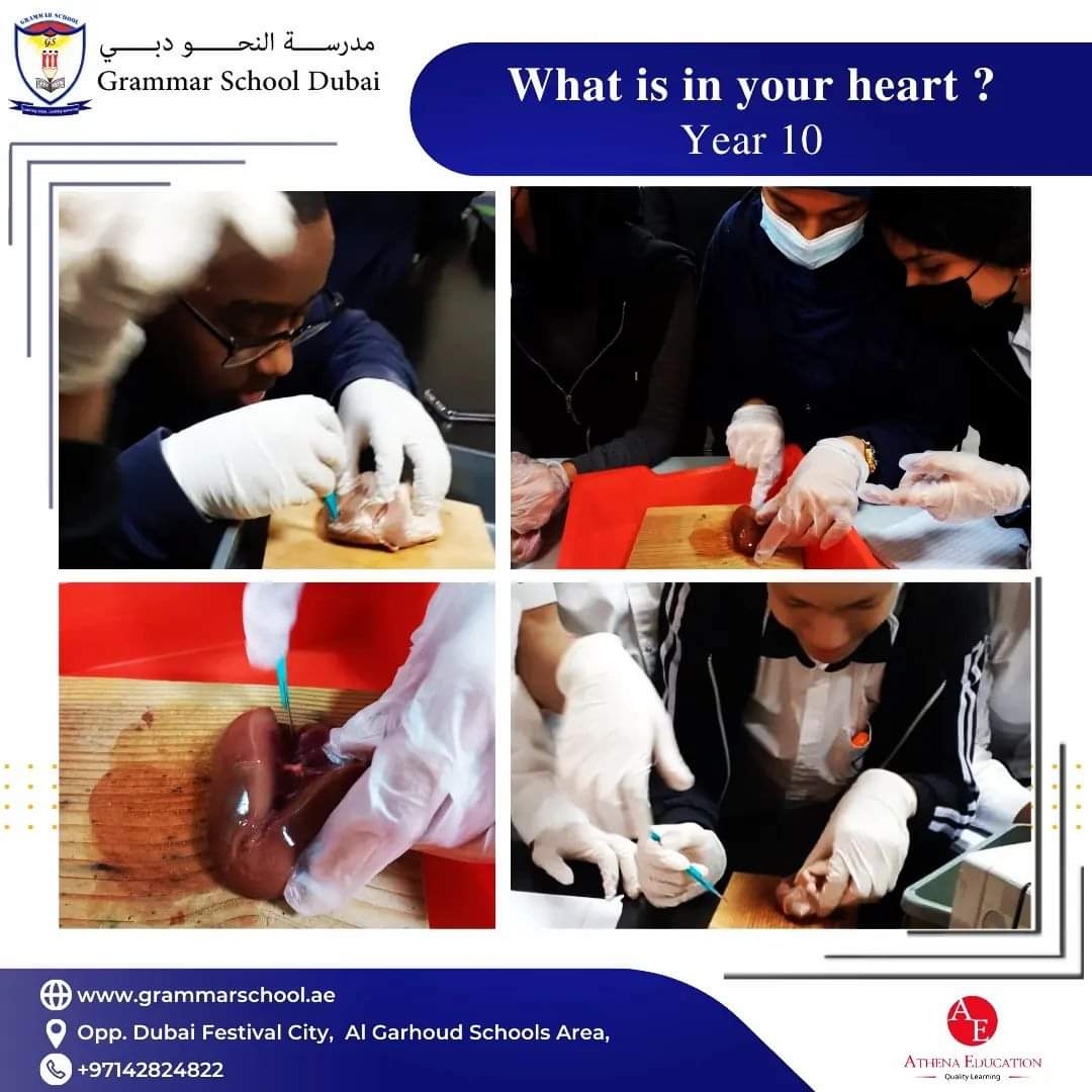 What is in your heart ?
We believe in learning by doing. Our IGCSE students learn heart anatomy by dissecting a real heart.
#heart #learning #igcse #students #anatomy #dissecting #grammarschooldubai #athenaeducationuae