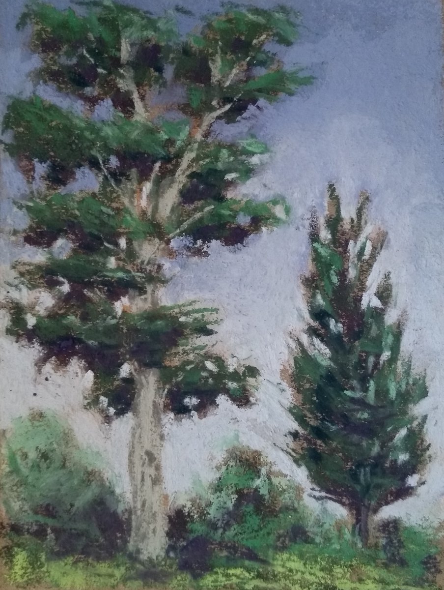 5 pastel tree studies are available to collectors.
These are mini art works that would look good in a small space or grouped together.
This is Study No 5👇
Original soft pastel paintings- Mini Tree Landscape Studies etsy.me/3NbqIVm via @Etsy 
#trees #SoftPastel #painting