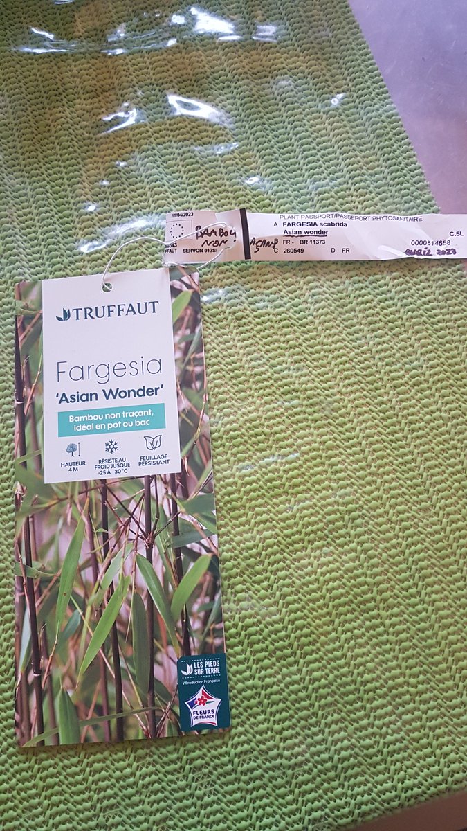 SebWeb2_0's tweet image. Pas satisfaisante la "garantie végétale" @Truffaut ! Bambou mort en 3 semaines malgré plantation et arrosage en règles. Alors que le magasin en a encore en stock, pas de simple échange possible mais un avoir pour ensuite racheter le même produit... dont le prix a presque doublé !