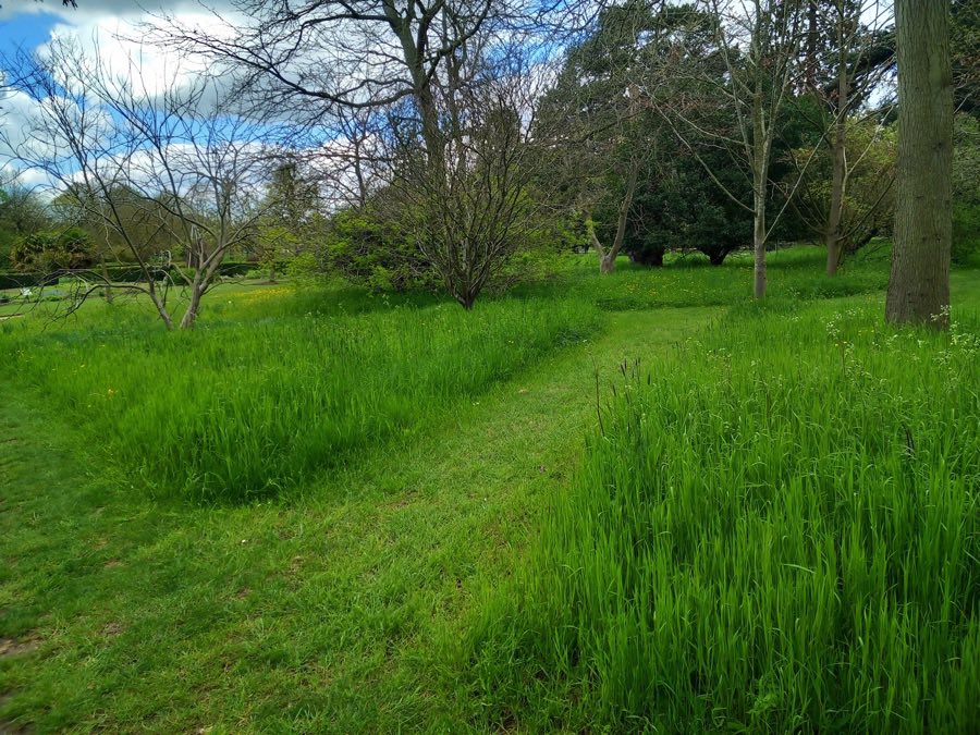 LGSpace's tweet photo. Avoid watering grass in dry weather - sprinklers can use as much water in one hour as a family uses in 24 hours. To keep grass looking good, mow less often - long grass stays green, and is a cool refuge for wildlife.
More water-saving tips: https://t.co/DrZLuuHFZT
#summer #nature https://t.co/Z6gtJLnEkO