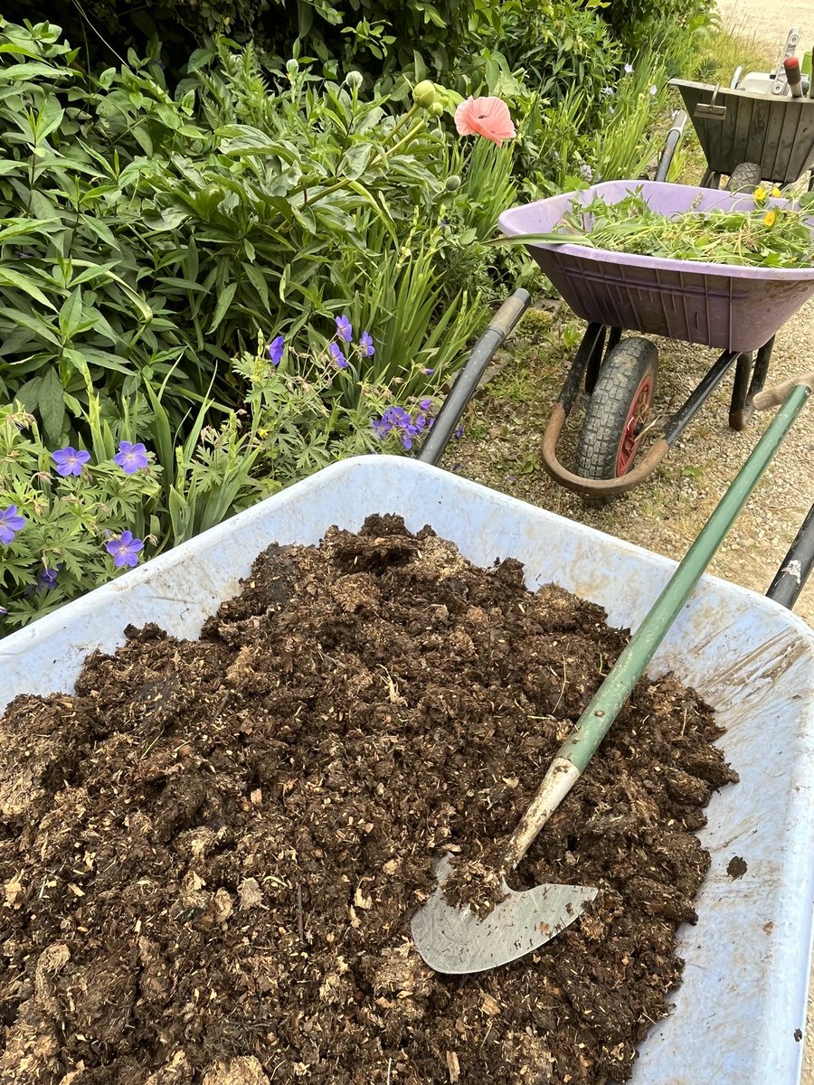 Pitter, patter raindrops falling on my head ….or not. Overlooked because it’s not glamorous. Liberal compost will keep gardens in prime condition. Overlooked. 2nd helpings to gardens still retaining moisture after NE winds &amp;  no rain. A decorator would never not prime or prep.