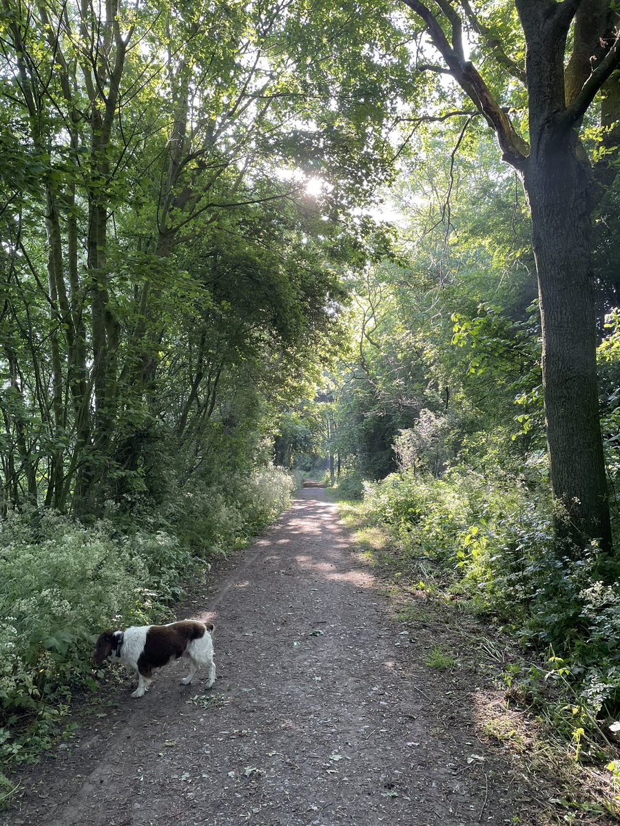 Drew_Mac's tweet image. Lovely day in #Ypres for a wedding!