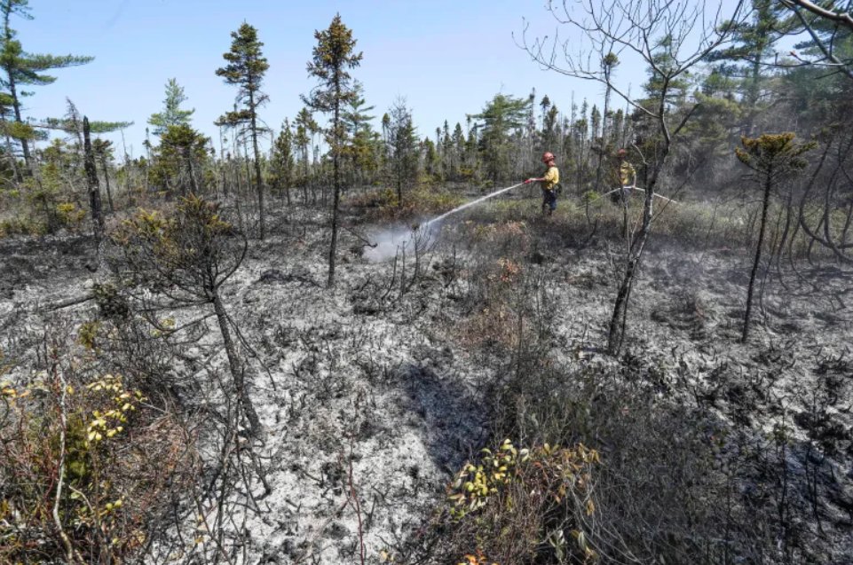 Kanada'nın #Quebec eyaletindeki yangın nedeniyle 10 bin kişinin kenti terk etmesi emredildi habereguven.com/kanadanin-queb… #Canada #Quebec #wildfire  #Ontario #GOES16 #ClimateEmergncy #quebecFires #QCFires