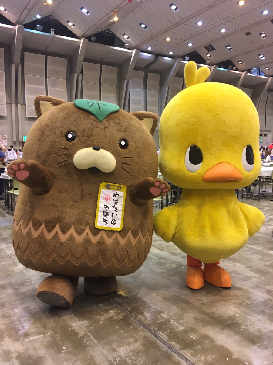yahatainu's tweet photo. 今日は ＃アイメッセ山梨 で開催された ＃クスリのサンロード お客様健康感謝DAYに行ってきたよ♪お友達にもたくさん会えたし、お買い物もいーっぱいできたし、楽しい1日だった〜✨ ＃甲斐市 ブースに遊びに来てくれたみんな、ありがと〜！！ ＃やはたいぬ ＃ビオレママ ＃ひよこちゃん https://t.co/2jLDS9qQmP