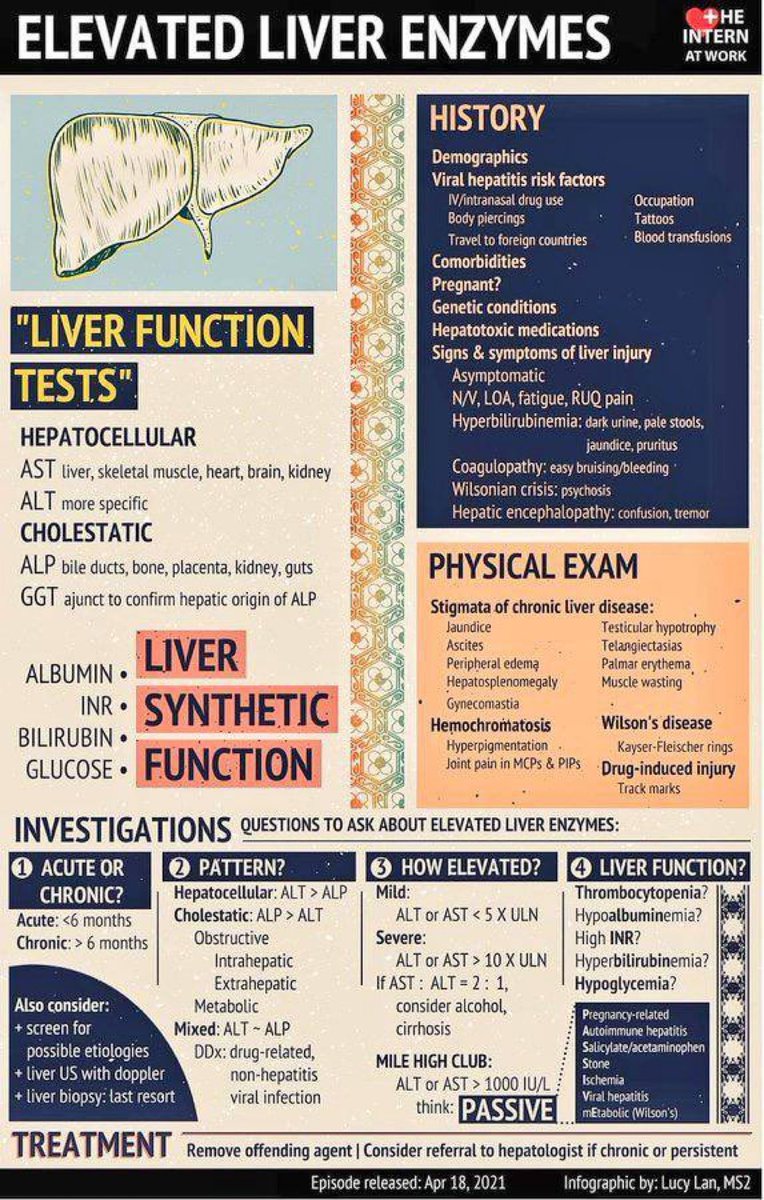 elevated liver enzymes