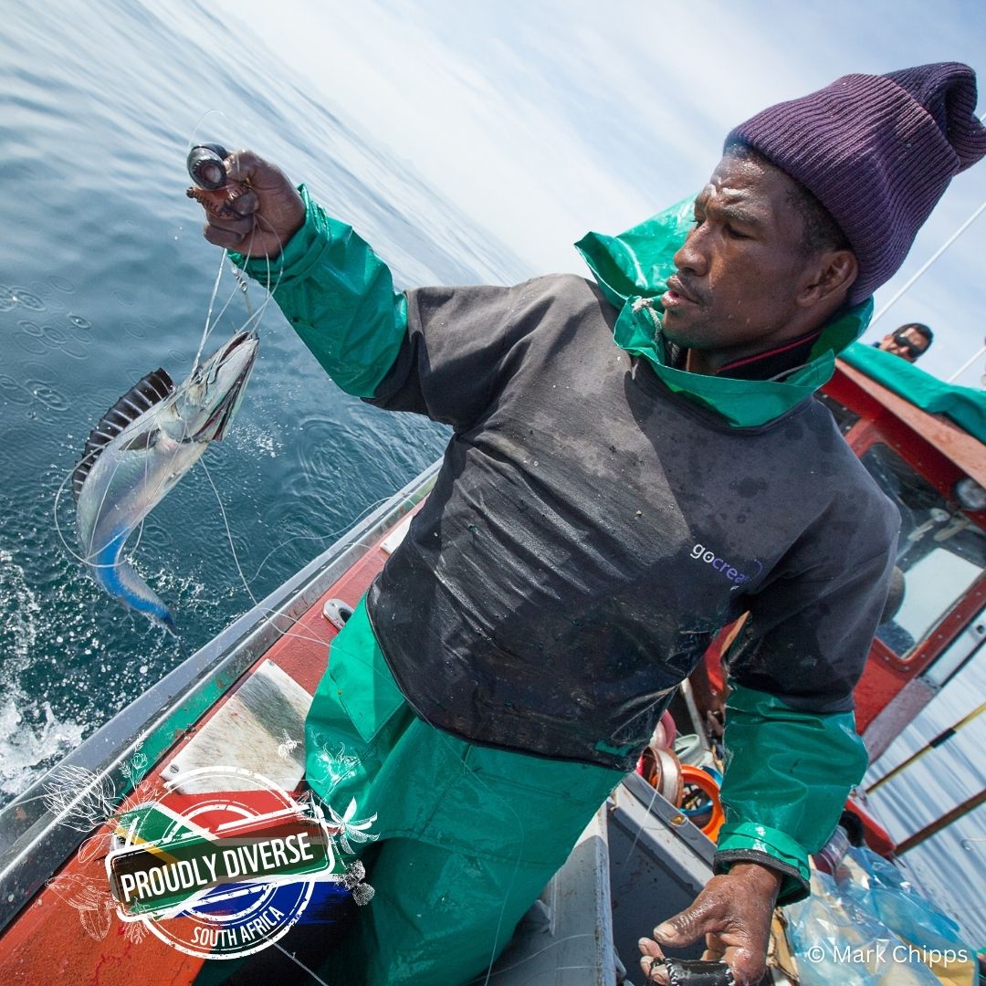 🌿🎣🐧 WWF has been collaborating with small-scale fishing communities in the Kogelberg coastal region since 2014, helping to promote and safeguard sustainable livelihoods & unique species in the area. Read more here:  pulse.ly/owwkdhg1pg

#ProudlyDiverseZA #LocalIsLekker