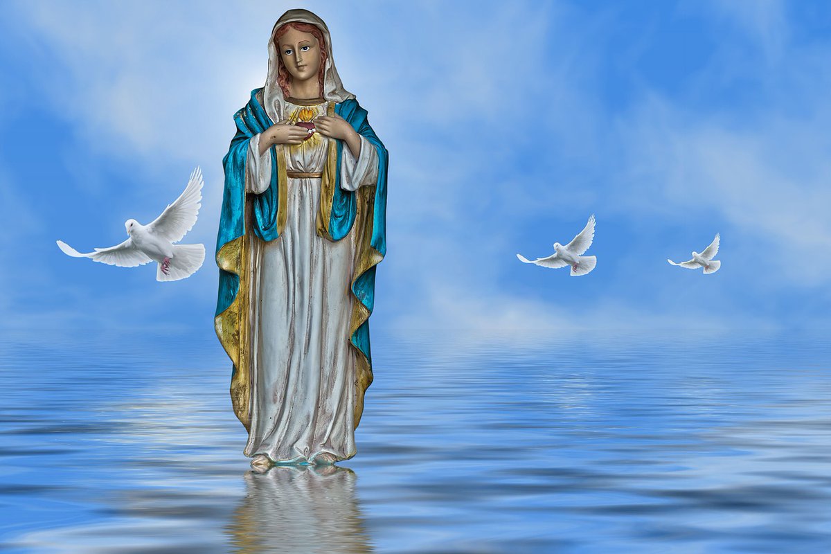 En ce 1er samedi, le  #3Juin
Nous honorons le Cœur Immaculé de Marie, symbole de pureté, d'amour et de compassion maternelle.

#MiséricordeDivine 
#AveMariaGratiaPlena #Dominustecum #IHS #SacredHeartOfJesus #CoeurImmaculéeDeMarie #InmaculadoCorazonDeMaria #ImmaculateHeartofMary