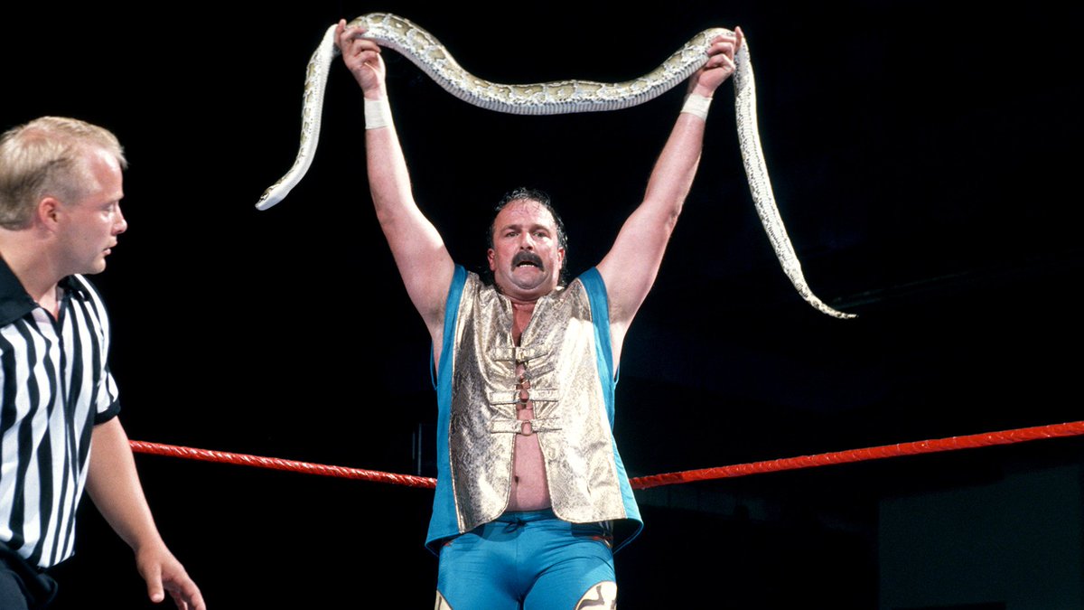 On this day in 1996: Jake Roberts defeated Hunter Hearst-Helmsley in the King of the Ring 1st Round match on Raw. 🐍 #WWERaw #WWF #Wrestling #TripleH #JakeRoberts