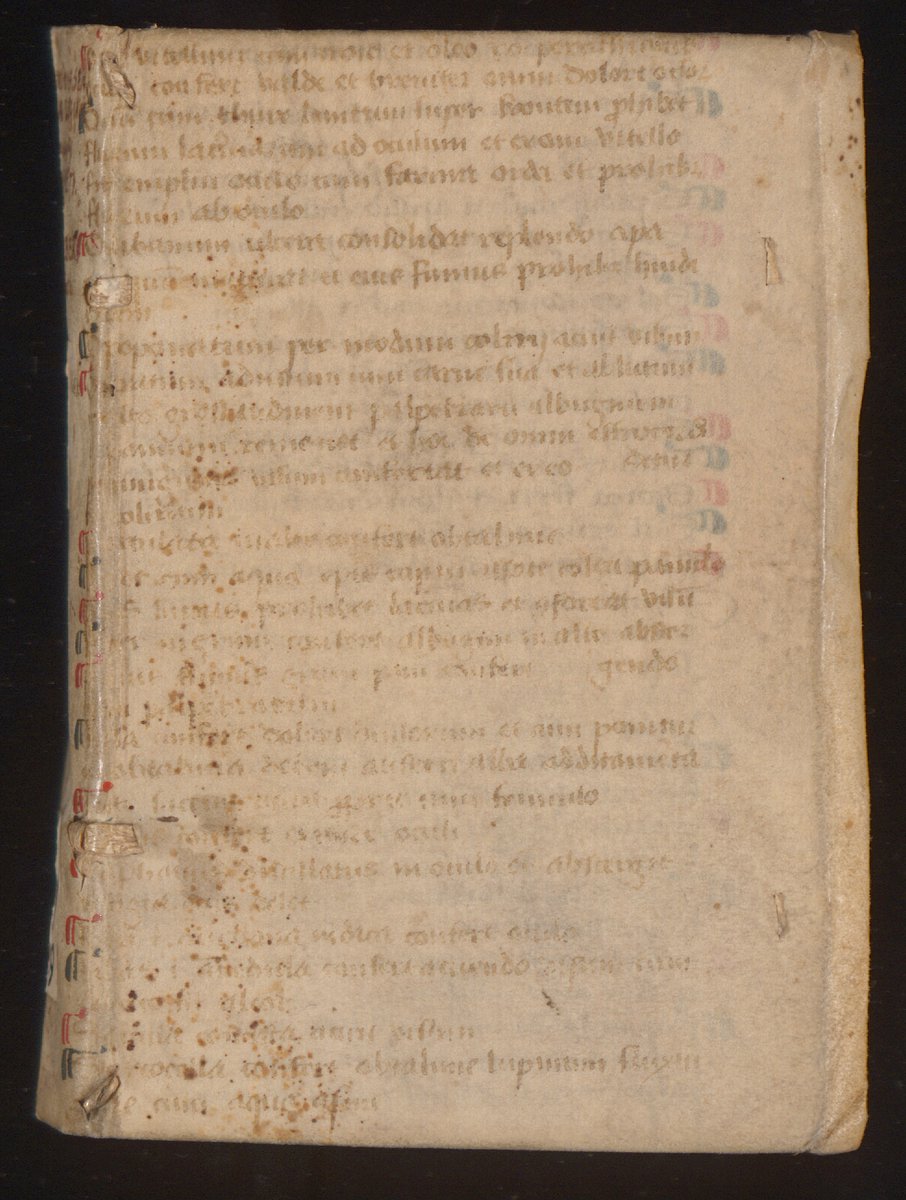 Preparing a talk on translations of medical texts rn. This looks like a chapter list from a MS on eye diseases. Who has an ID? (@UBBasel, UBH Bc V 229) #fragmentology
e-rara.ch/bau_1/content/…