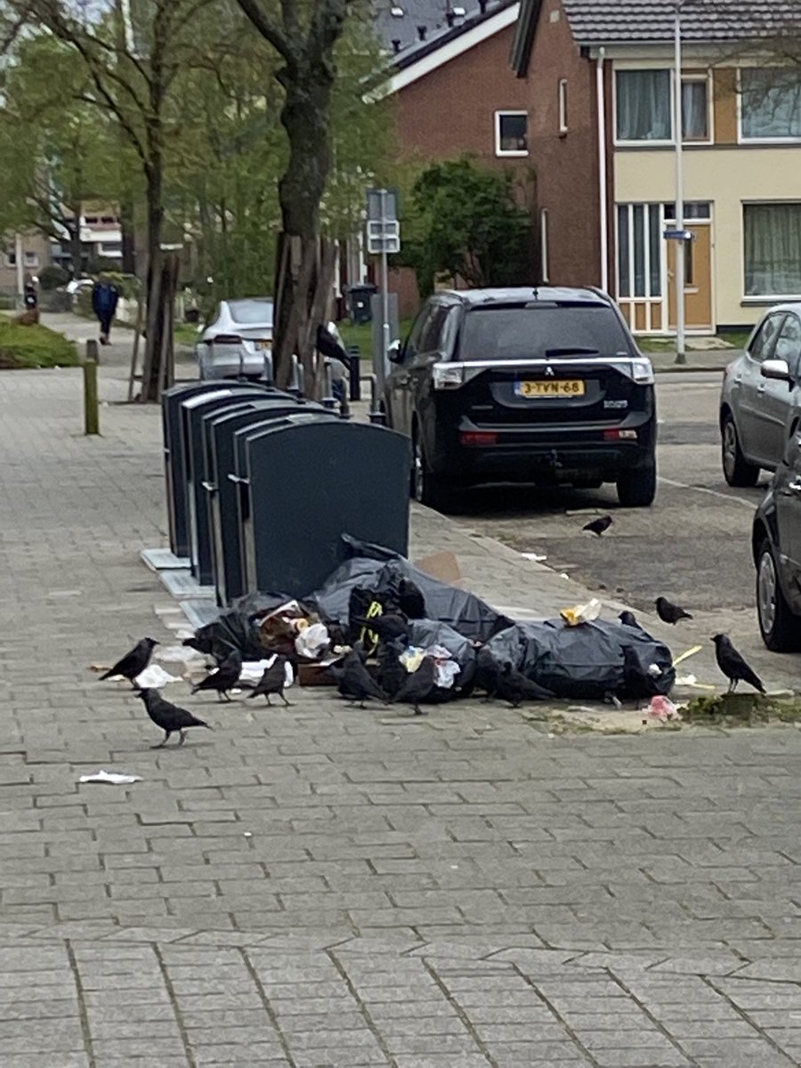 #hoevoorkomewedumpeninonzewijk? #diftarzwolle #rova #buurtbewoners #gemeentezwolle #wijkmanager #wijkregisseur