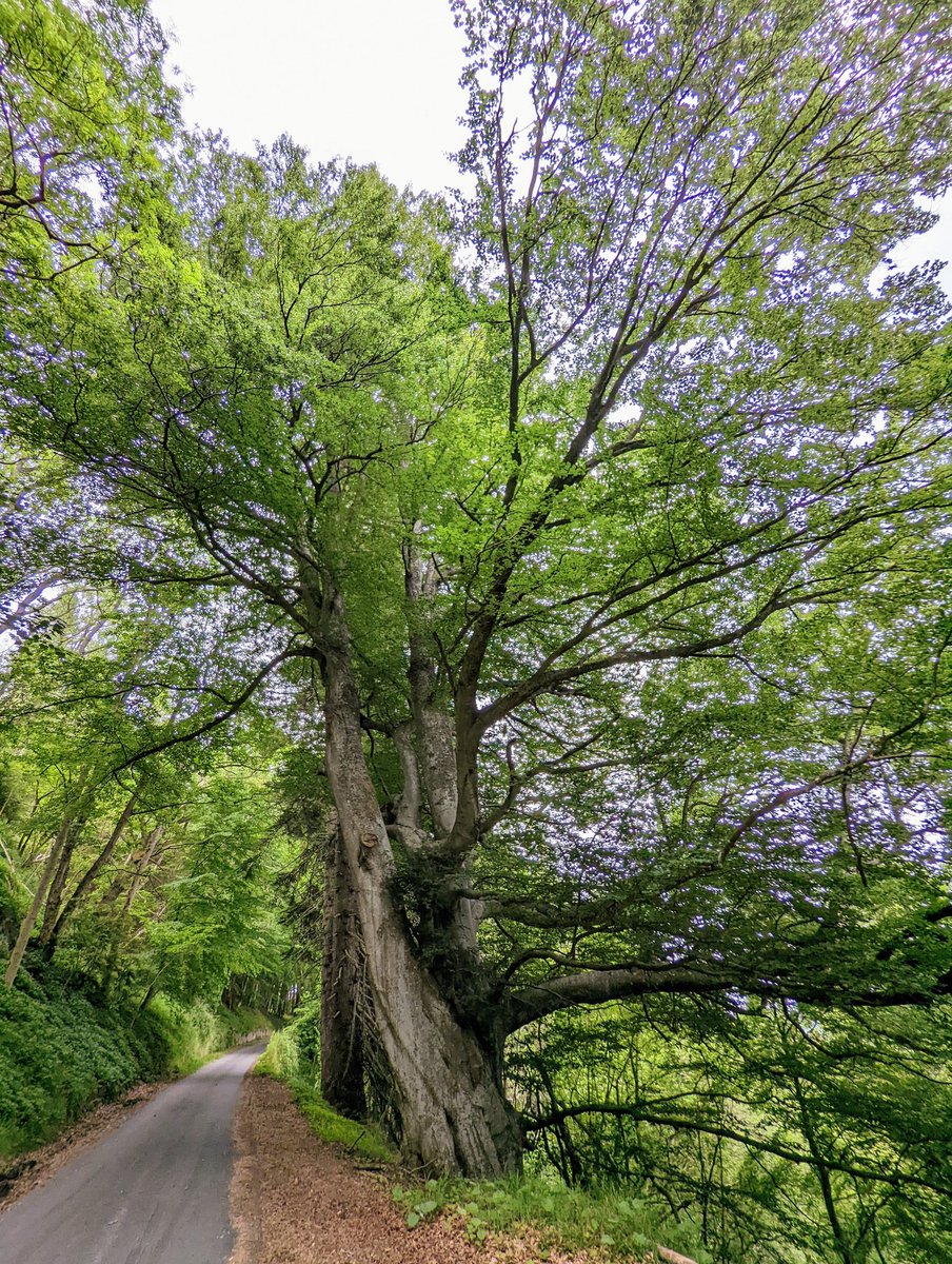 Wishing you a spectacular Saturday 😁