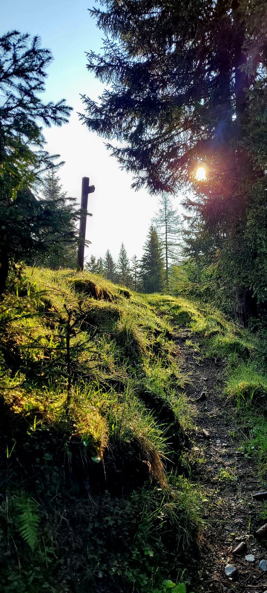 #pentecostweekend😇 #throwback <a href="/Bio_Lungau/">Biosphäre Lungau</a> <a href="/lungau/">Urlaubsregion Lungau</a> <a href="/LungauFerien/">Salzburger Lungau</a> #meiherzkeschtnlungau❤️ #obereszederhaustal #lerchnerhütte