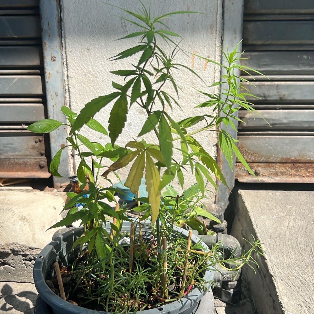 as cold as your ex’s heart tweet media