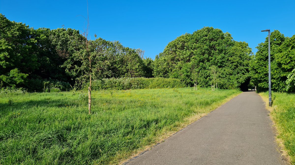 Such a gorgeous morning in the Tremorfa Park