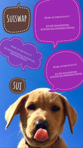 #SUi DOG <a href="/suiswap_app/">Suiswap</a>