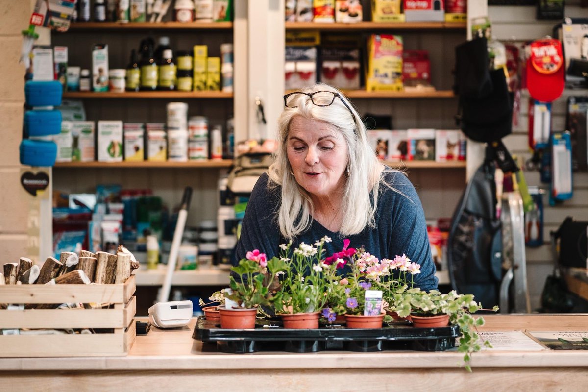 VisitKnowle's tweet photo. It's not just pets that get a little TLC at Pets World….

Beautiful summer garden plants are waiting for a new home so if you're looking for a splash of colour in the garden, pop into Pets World.🌸🌼🌺🌻

#knowle #visitknowle https://t.co/EEqYTFDP6M