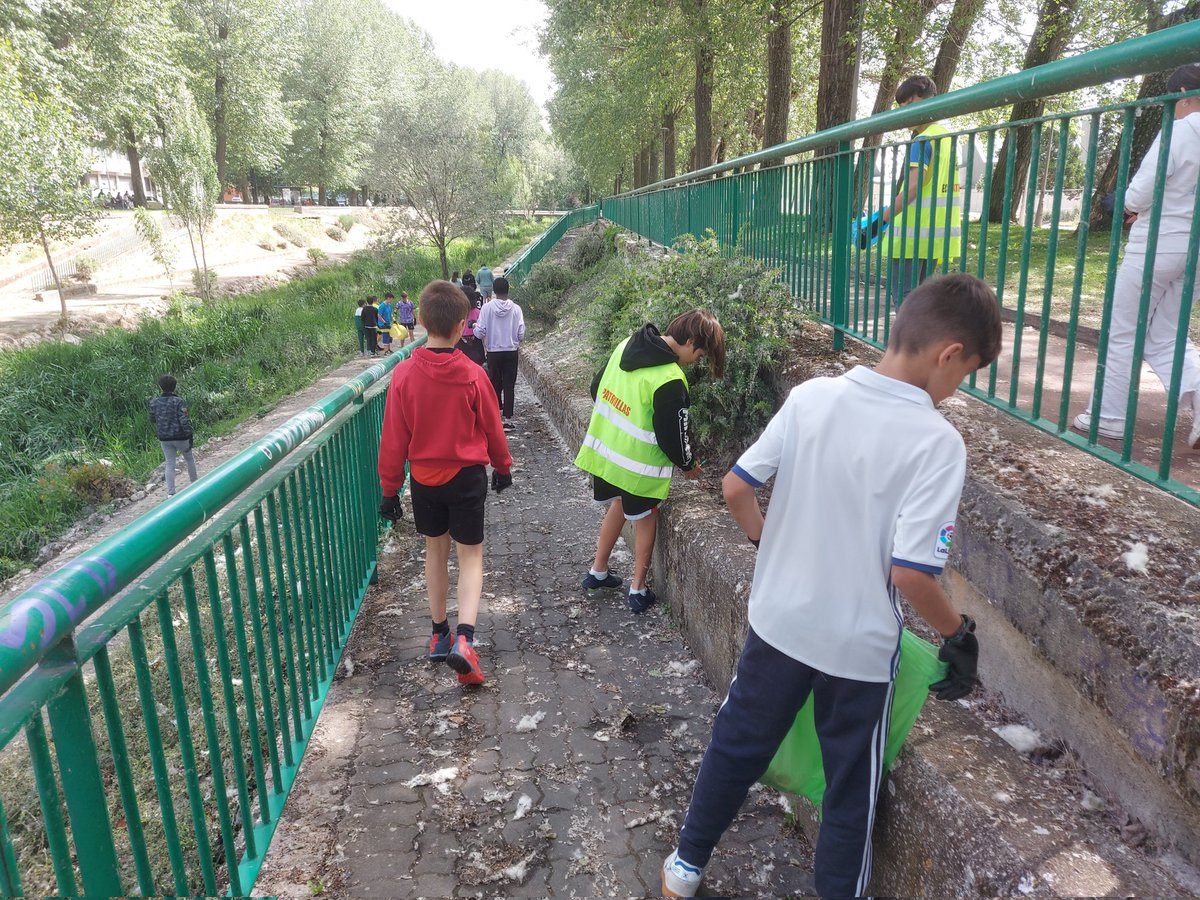 ceip_fcovitoria's tweet image. ¿Si fumas, qué haces con tus colillas? El alumnado de P6B @ceip_fcovitoria lo ha comprobado hoy 
No las tires al suelo!!!
Se han recogido en 30 min más de 400 colillas en la ribera del Río Vena en #Burgos
#libera1m2 #basuraleza #ProyectoLibera @ecoembes @SEO_BirdLife