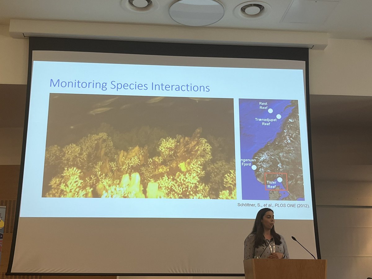 Great talk at the @ISDSC8 by @H_Poppy_Clark on how we can learn about future change from studying past coral-sponge interactions #MachineLearning #CNN #RootPainter