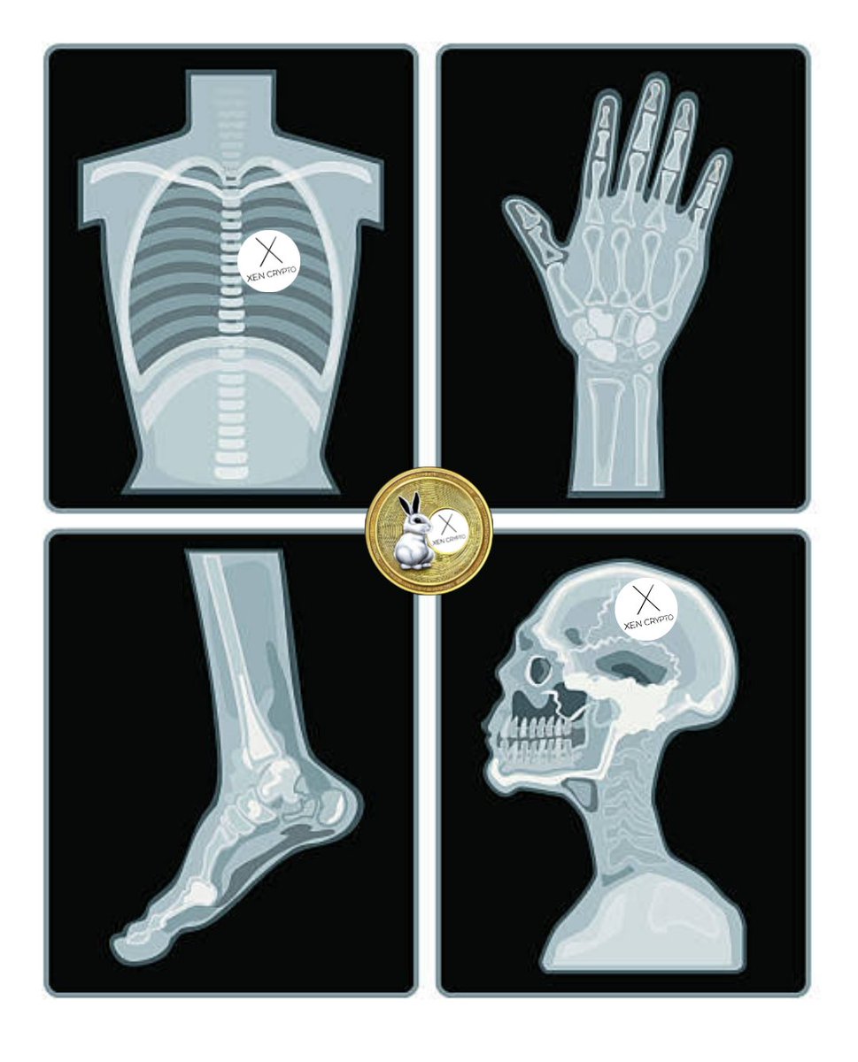 #XEN in the right places and spaces #VMPX #X1 #faircrypto #blockchainstresstest #XENFT @DBXeNFT @razvancostin14 @mrJackLevin @ackebom @cryptomumz @L21stprinciples @ismailh88700379 @BenipayoMarc @ackebom @jarosciak @333Crypto @CLOUT_COCKS @XenergyNFT