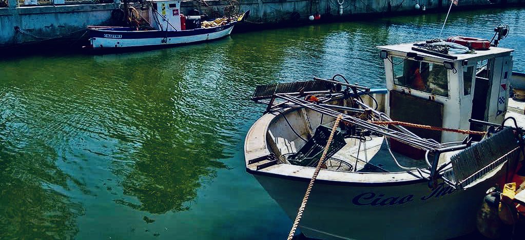 EnteRomaNatura's tweet photo. Buon sabato dal Borghetto dei Pescatori 
Il canale, il porticciolo, le casette, il culto delle antiche tradizioni rimaste intatte, il Borghetto dei Pescatori un piccolo angolo di storia.Siamo a Ostia levante vicino alla sponda destra del Canale di Fusano 👉https://t.co/k9OaDBDDSD https://t.co/EsYERRxXgu