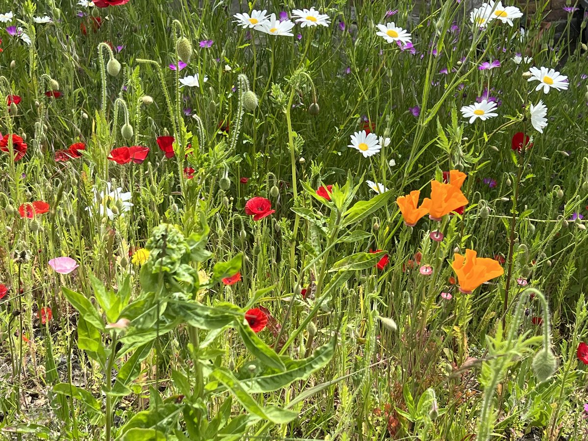 Bobby Lloyd tweet media