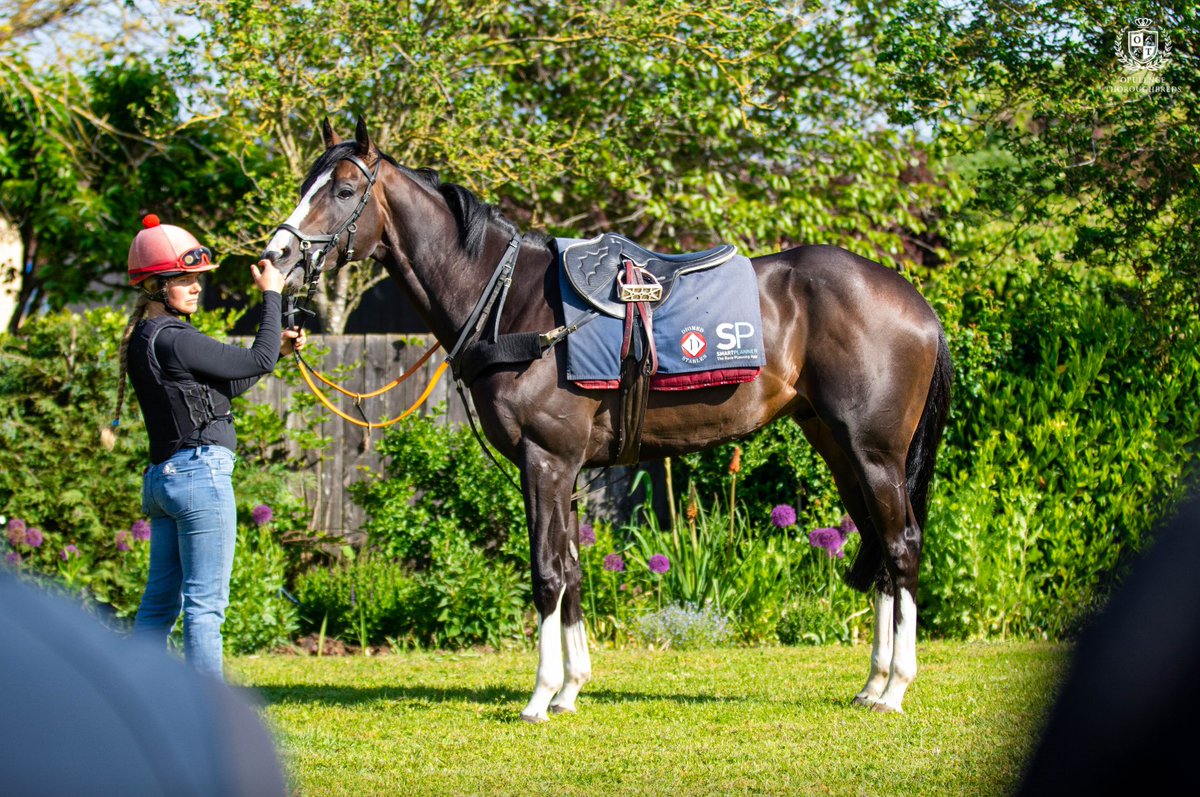 · 15:55 - God of Fire takes on the 1m2f Lester Piggott Handicap, with a prize of almost £40k for first place.  

Best of luck to their connections!  

#OpulenceThoroughbreds