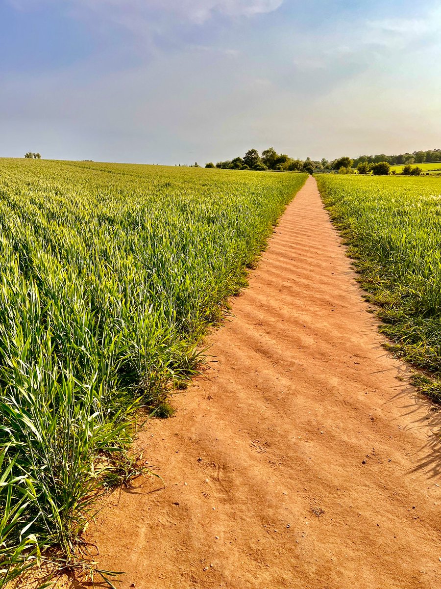 lisaoftheshire's tweet image. On the Bridle Path, Hagley, Worcestershire. 

I love these protected old ancient routes. This is not far from the North Worcestershire Path that runs from Bewdley to Birmingham. 

#worcestershire #walk #oldpaths #rightsofway