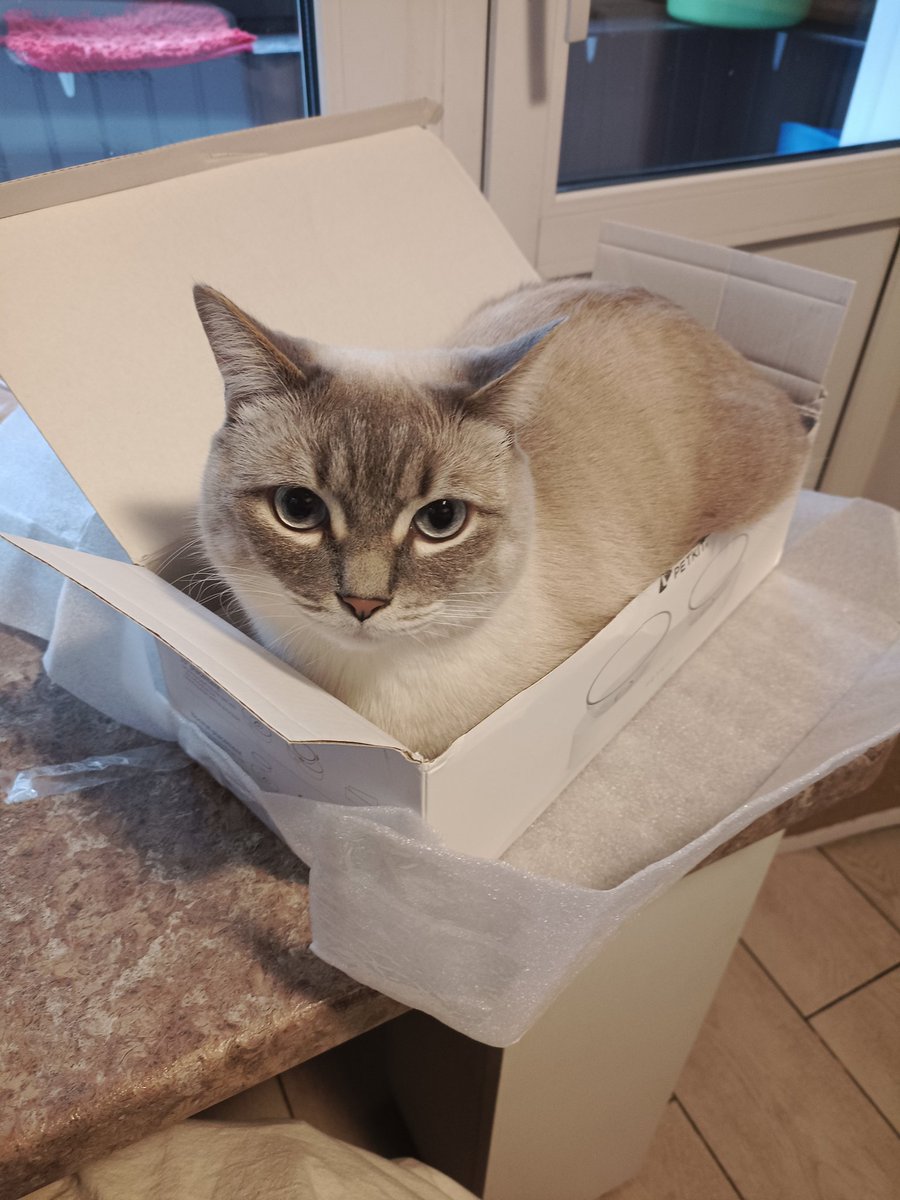 Приехали новые миски... так себе миски, а вот коробочка зачёт!👍