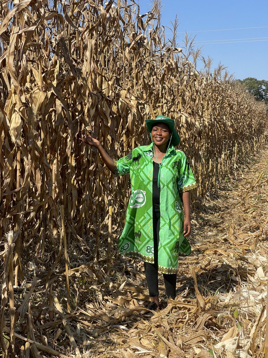 Wendy Matashu Madzura tweet media