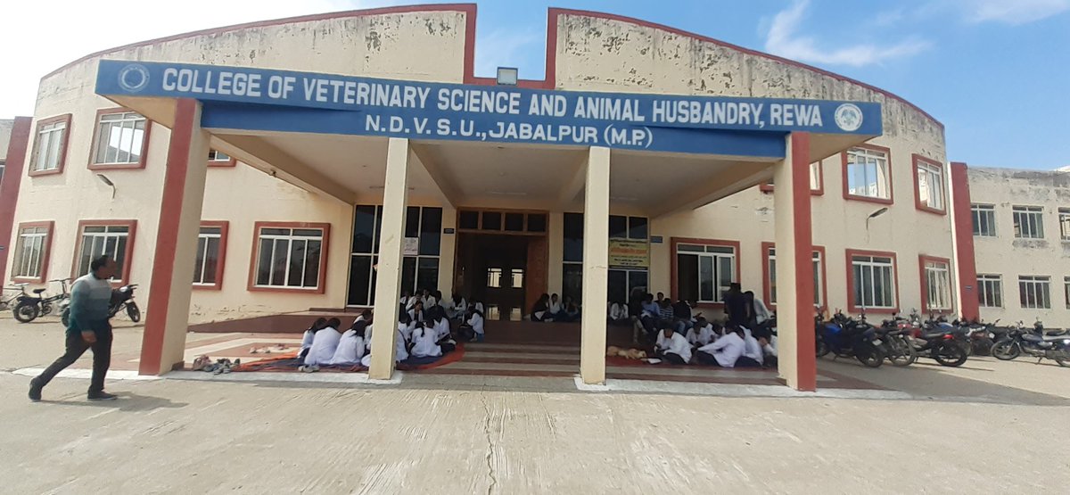 COLLEGE OF VETERINARY SCIENCE REWA,STUDENTS (@vetrewa) on Twitter photo वेटरनरी कॉलेज रीवा का यह भव्य और सुंदर कैंपस लगातार पशुचिकित्सा, पशु विस्तार कार्यक्रम और नवीन अन्वेषण हेतु कार्यरत है।
This grand and beautiful campus of VETERINARY COLLEGE REWA has been continuously doing work for Animal health,Extension and Research programs.
<a href="/icarindia/">Indian Council of Agricultural Research.</a> वेटरनरी कॉलेज रीवा का यह भव्य और सुंदर कैंपस लगातार पशुचिकित्सा, पशु विस्तार कार्यक्रम और नवीन अन्वेषण हेतु कार्यरत है।
This grand and beautiful campus of VETERINARY COLLEGE REWA has been continuously doing work for Animal health,Extension and Research programs.
<a href="/icarindia/">Indian Council of Agricultural Research.</a>