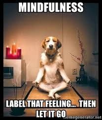 Mindfulness is not about rumination, it is about recognition and release #SelfcompassionSaturday