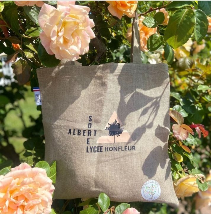 ClineFournier8's tweet photo. Juin fait le lin. Le tote bag en lin de Normandie proposé par le @LPo_Sorel14 , Honfleur,@ac_normandie est vendu au profit de la reforestation. Une petite action qui fait du bien à la planète. Contactez Céline Fournier,  professeur,  celine.fournier1@ac-normandie.fr https://t.co/p4bOyNqAM8