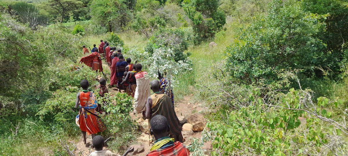 Kayese256's tweet photo. @Kayese256 has partnered with WeltHunger Hilfe to restore the degraded areas in Tapac district in a Project called LOKERE PROJECT. @2008gomu @Agriculfuture @AtimJesca23 @DrLogiel @Eng_KjaTrans @EUinUG @faithchuna1 @JelmYouFarmers @ugwildlife @UNinUganda @mtnug @DianaAtwine https://t.co/ljV8K6puwA