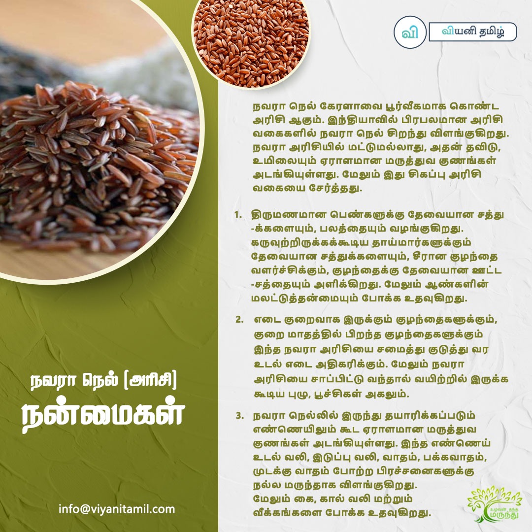 viyanitamil's tweet photo. நவரா நெல் அரிசியின் பயன்கள் பற்றி பார்க்கலாம்..
info@viyanitamil.com
#navara #x #nissan #offroad #nissannavara #np #frontier #hilux #wd #d #nissanfrontier #fordranger #pickup #toyota #navlife #nismo #triton #australia #amarok #squad #l #adventure #ford #import #ranger https://t.co/uVmxsmsV9Z