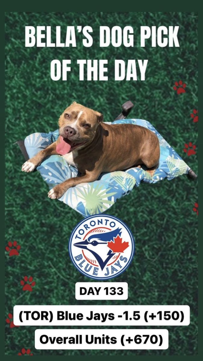 TheLocksOTD's tweet photo. 🐶BELLA'S DOG LOCK OTD🐶
‼️Overall Units +670‼️
🔥BELLA HEATED UP🔥
⚾️(TOR) Blue Jays -1.5 (+150)
#Bella #Dog #Dogs #DogBets #DogPicks #Free #GamblingTwitter #Bluejays #MLB #MLBProps #MLBPicks #Gambling https://t.co/sXg8bwnMTX