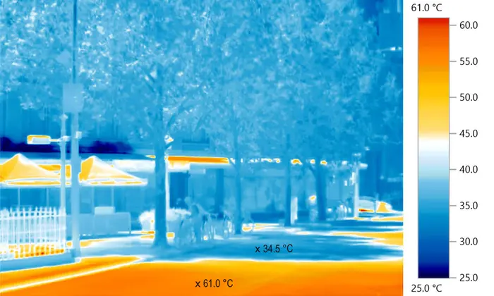 praddy06's tweet photo. Such heatwaves will become the new normal, what can one do for our City, we should learn from this year heat in Chennai &amp; its suburbs and plant more trees. This is the only way we can make our city more cooler

Each one of us, who have space in their house/office can do their bit https://t.co/esgJkLKlUY