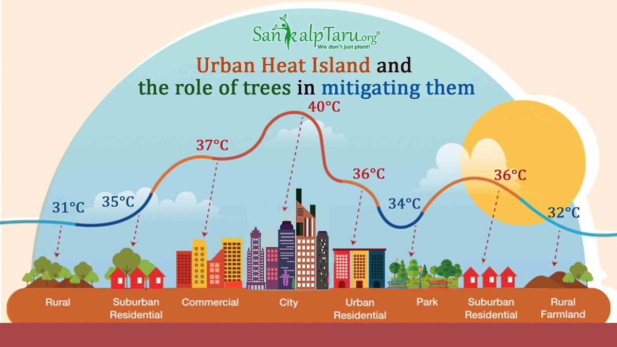 praddy06's tweet photo. Such heatwaves will become the new normal, what can one do for our City, we should learn from this year heat in Chennai &amp; its suburbs and plant more trees. This is the only way we can make our city more cooler

Each one of us, who have space in their house/office can do their bit https://t.co/esgJkLKlUY