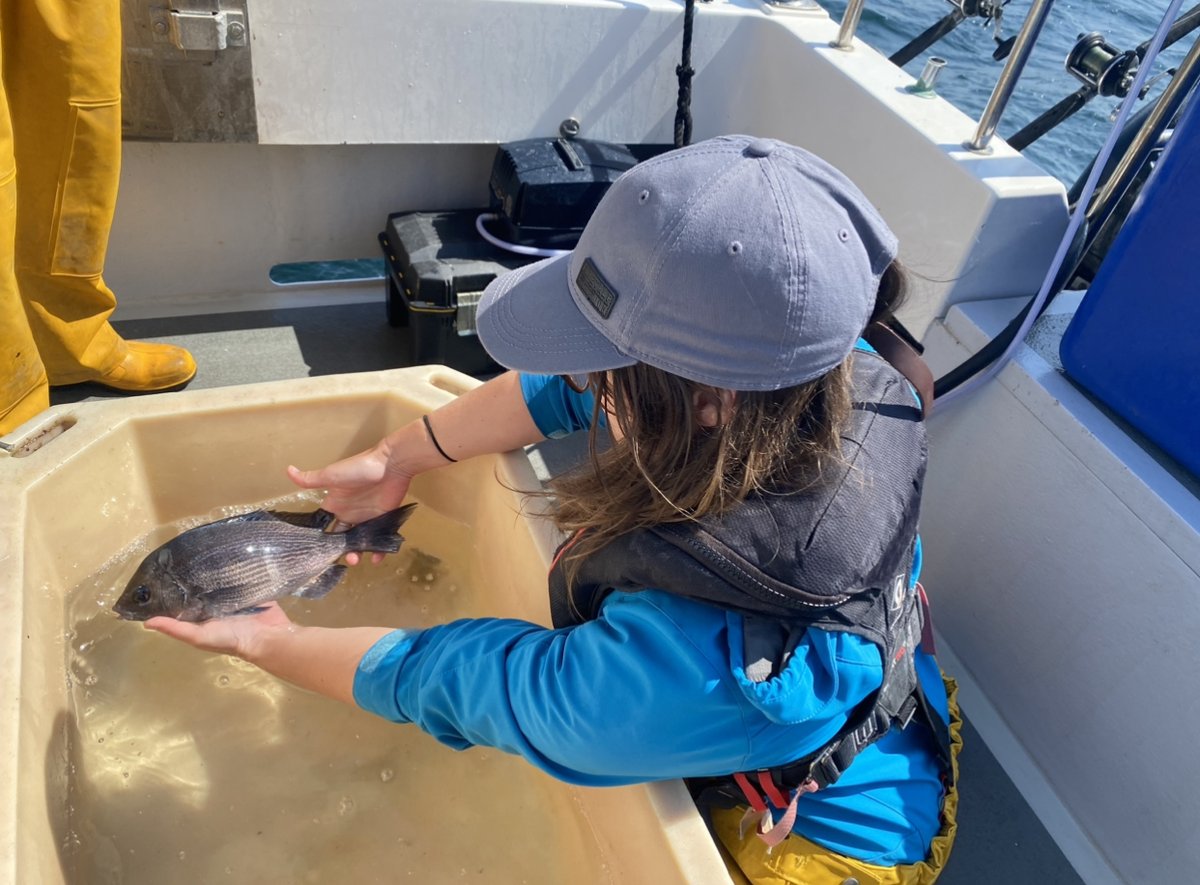 Brilliant day with @AHall_Marine, @Pete_Davies1 and @masterplan_off working on our #FISP project - Angling for Sustainability - to track black bream around #Dorset and the #Solent. 33 fish tagged, 167 to go 🎣 @AnglingTrust @PlymUni @SouthernIFCA @NaturalEngland #PBA @fish_intel