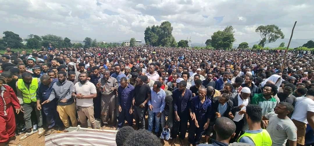 DireTube Media tweet media