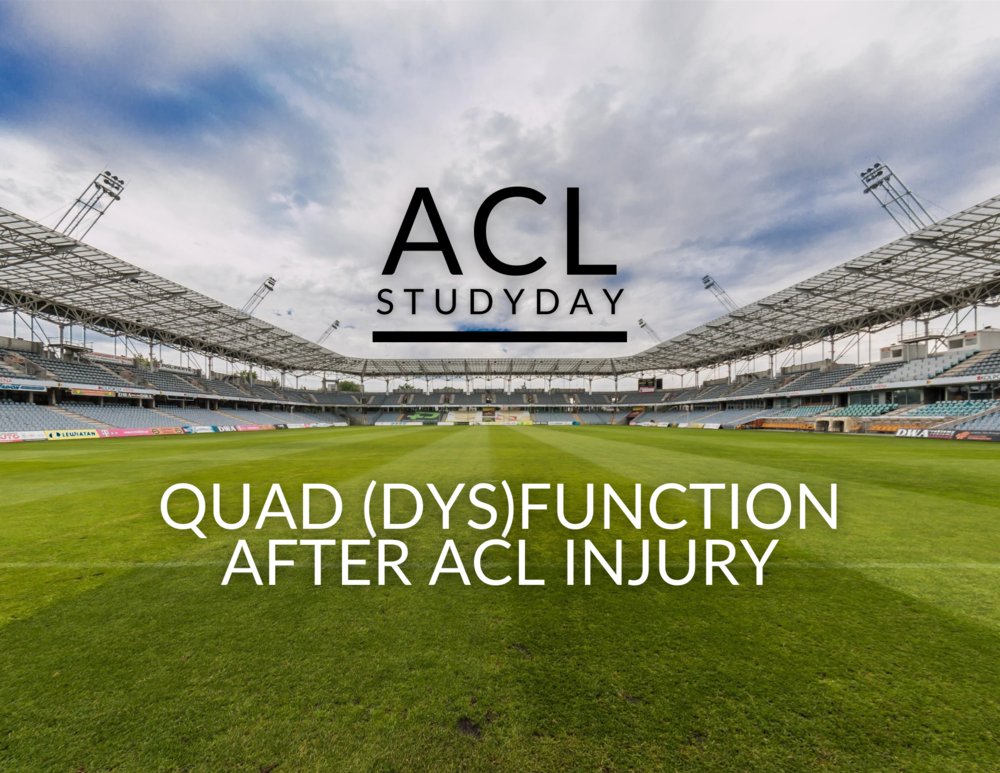 Evidence & Practice (@evidandpractice) on Twitter photo Question submission is open for our panel. Put your quad questions in now and get them answered on Wednesday! A great opportunity to ask questions of <a href="/doclsmack/">Dr. Lynn Snyder-Mackler</a>, <a href="/Dusty_Grooms/">Dustin Grooms</a>, <a href="/LindseyLepley/">Lindsey K Lepley</a>, <a href="/Grant_Norte/">Grant Norte</a>, and <a href="/ewellsandt/">Elizabeth Wellsandt</a> app.sli.do/event/sUVx6r7E… Question submission is open for our panel. Put your quad questions in now and get them answered on Wednesday! A great opportunity to ask questions of <a href="/doclsmack/">Dr. Lynn Snyder-Mackler</a>, <a href="/Dusty_Grooms/">Dustin Grooms</a>, <a href="/LindseyLepley/">Lindsey K Lepley</a>, <a href="/Grant_Norte/">Grant Norte</a>, and <a href="/ewellsandt/">Elizabeth Wellsandt</a> app.sli.do/event/sUVx6r7E…