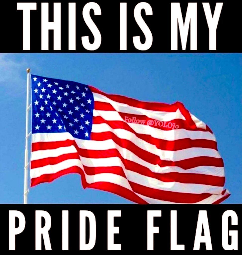 #PrideMonth
Retweet if this is your Pride Flag 🇺🇸