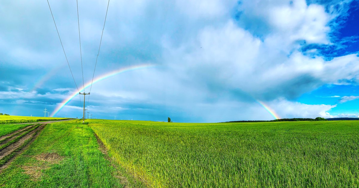 Dorothea von Gesetz (@ziernaht) on Twitter photo 